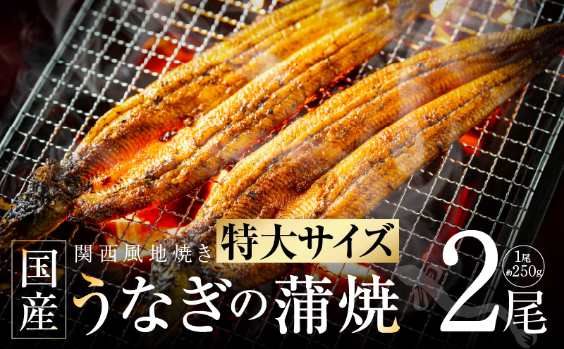 超ビッグサイズ！数量限定！老舗【五郎藤】 関西風地焼き 国産有頭旨鰻 250g×2尾 特大 うなぎ ウナギ 蒲焼き 炭火 G1481