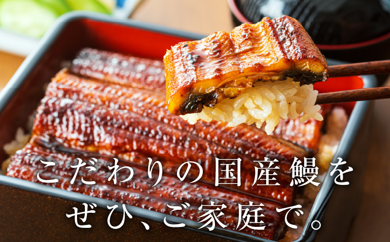 超ビッグサイズ！数量限定！老舗【五郎藤】 関西風地焼き 国産有頭旨鰻 250g×2尾 特大 うなぎ ウナギ 蒲焼き 炭火 G1481