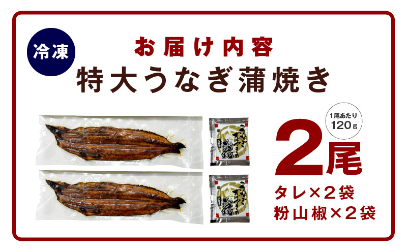 超ビッグサイズ！数量限定！老舗【五郎藤】 関西風地焼き 国産有頭旨鰻 250g×2尾 特大 うなぎ ウナギ 蒲焼き 炭火 G1481