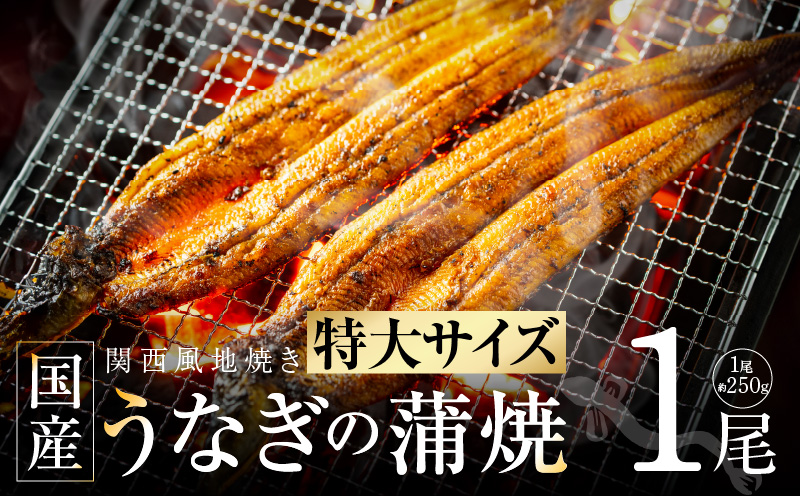 【ビッグサイズ】老舗五郎藤 国産 旨鰻 250g×1尾【関西風地焼き 特大 うなぎ ウナギ 蒲焼き 炭火 数量限定 有頭 北国からの贈り物 厳選】 G1482