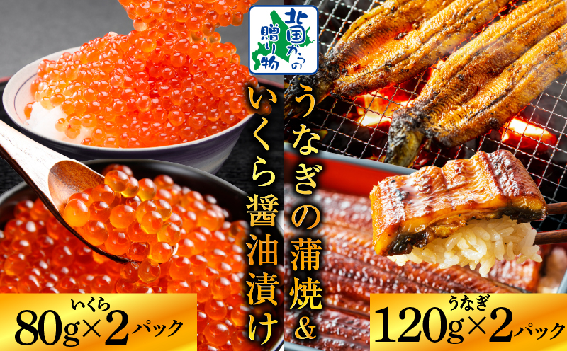 【五郎藤】国産 関西風 地焼き有頭旨鰻 120g×2尾＆いくら醤油漬け 80g×2パック G1559