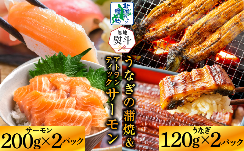 【無地熨斗】五郎藤 国産 関西風 地焼き有頭旨鰻 120g×2尾＆アトランティックサーモン 200g×2パック 食べ比べ G1566-1