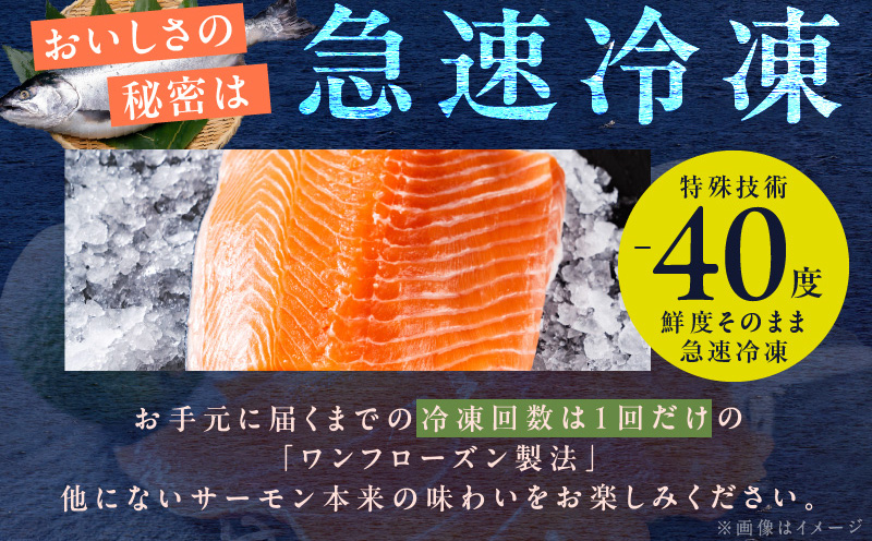 【無地熨斗】五郎藤 国産 関西風 地焼き有頭旨鰻 120g×2尾＆アトランティックサーモン 200g×2パック 食べ比べ G1566-1