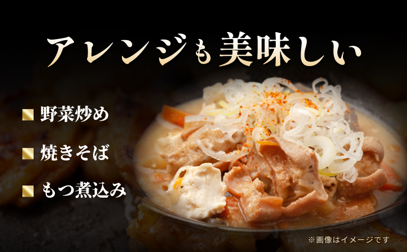 シマチョウ タレ漬 900g(300g×3パック) テッチャン シマ腸 小分け 時短 焼くだけ 簡単 099H3171