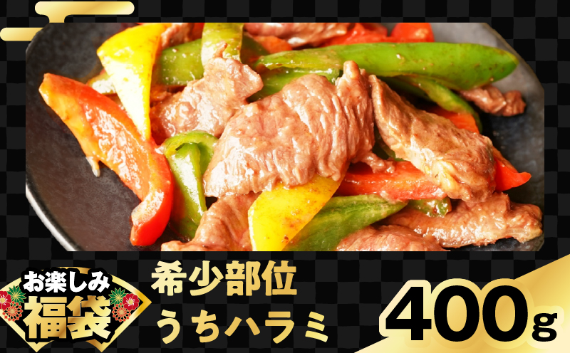 お楽しみ福袋 4種 2kgセット（牛肉 切り落とし／牛ハラミ／豚肉／鶏肉）【氷温熟成×極味付け】 mrz0090