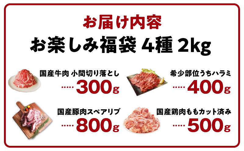 お楽しみ福袋 4種 2kgセット（牛肉 切り落とし／牛ハラミ／豚肉／鶏肉）【氷温熟成×極味付け】 mrz0090