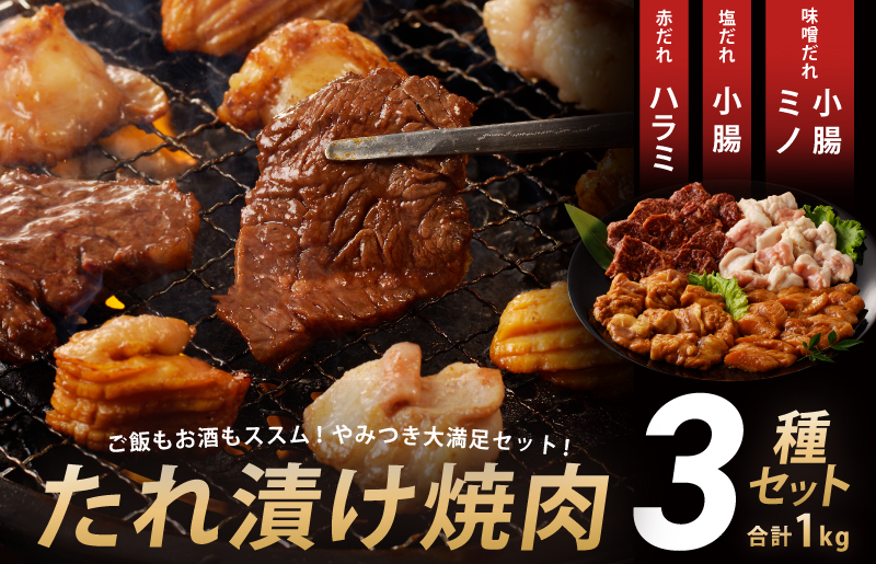 アキラ商店 3種盛り合わせセット 合計 1kg 焼肉用ホルモン 牛肉 ハラミ ミノ 小腸 G1156