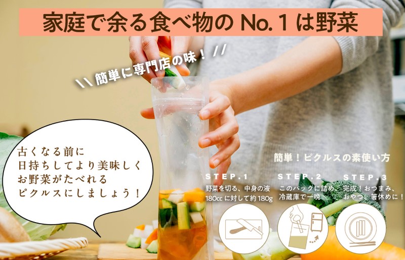 【年内発送】泉州水なすピクルス等 お任せピクルスセット 6個 ピクルスの素付き いずみピクルス NSW スピード発送【特別寄附金額】 G1457