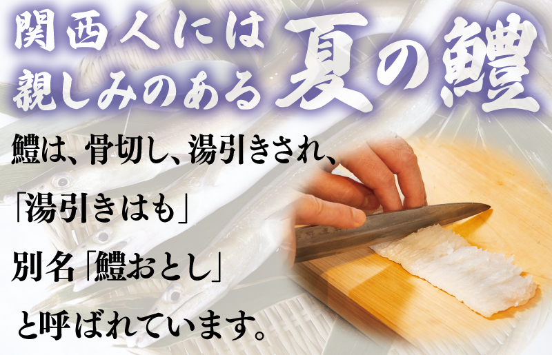 鱧おとし 350g（からし酢みそ、梅肉付） 099H299