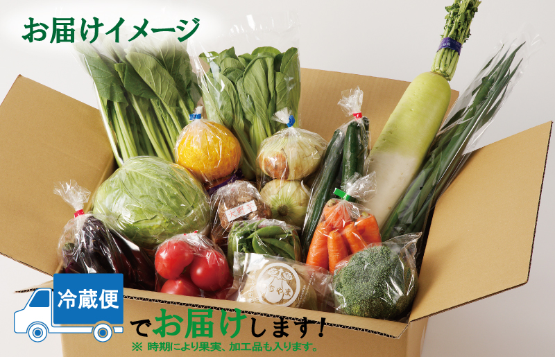 泉州野菜 定期便 全6回 15種類以上 詰め合わせ 国産 新鮮 冷蔵【毎月配送コース】