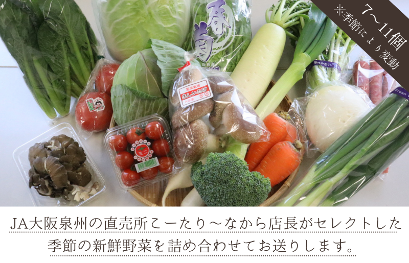 099H139 直売所店長セレクト季節の野菜セット