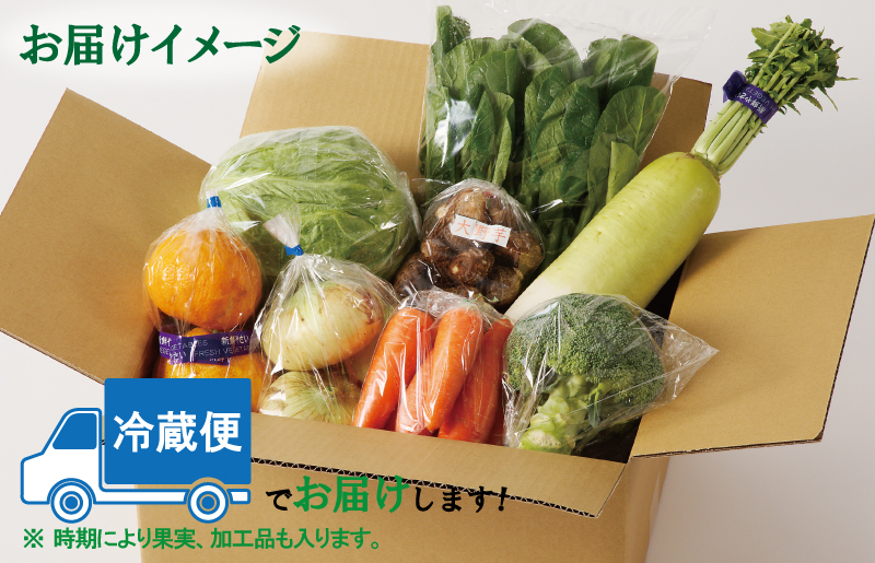 泉州野菜 定期便 全4回 7種類以上 詰め合わせ 国産 新鮮 冷蔵【毎月配送コース】