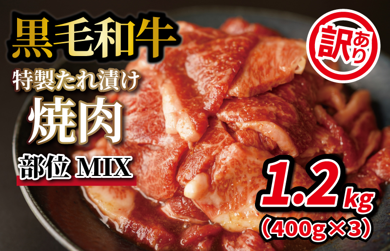 今季も再入荷 ふるさと納税 黒毛和牛 特製たれ漬け焼肉 部位MIX 1.2kg 400g×3 小分け サイズ不揃い 訳あり 氷温 R 熟成肉  大阪府泉佐野市 blaccoded.com