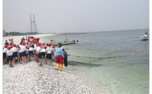 099H105 海鮮バーベキュー＆地引網漁業体験（５０名）