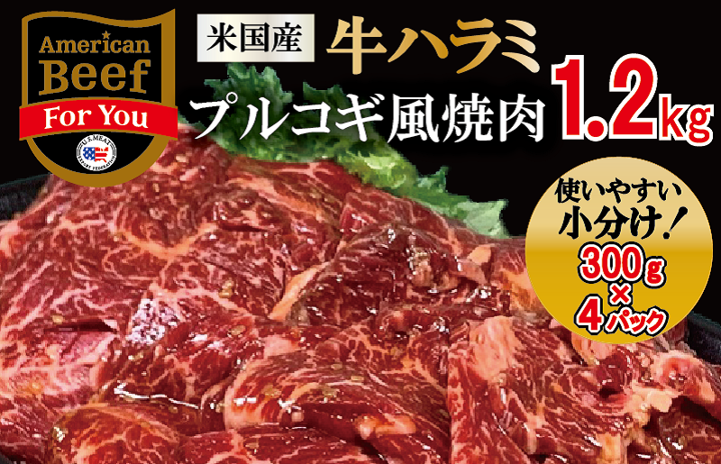 010B747 米国産牛ハラミ プルコギ風焼肉 1.2kg（300g×4） - ふるさとパレット ～東急グループのふるさと納税～