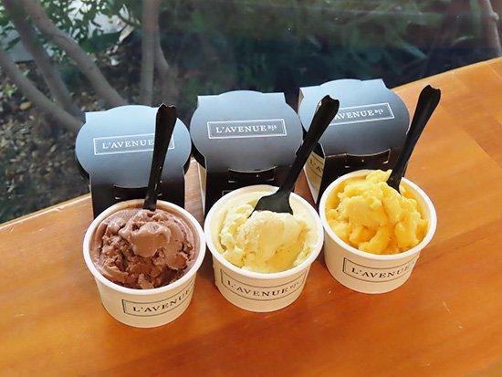 L’AVENUE（ラヴニュー）グラス エ ソルベ 〈アイスクリーム＆シャーベット 6個入り〉GLACE ET SORBET 6PIECE