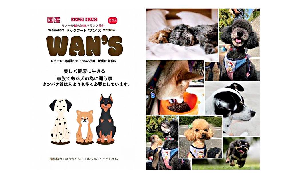 神戸生まれの 新鮮な無添加 ドライドッグフード 『WANS』2.3KG 3個セット