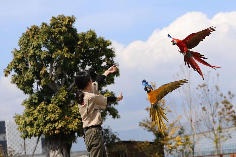 神戸どうぶつ王国 入園券(３名様分)