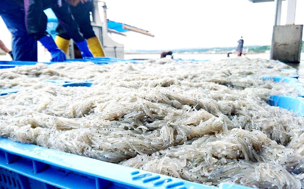 【ふるさと納税】梅ちりめん 3袋 セット ふりかけ まとめ買い 大容量 澤田食品 ごはんのお供 ご飯のお供 ふりかけグランプリ 金賞 送料無料