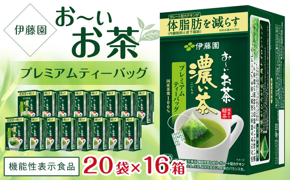 機能性表示食品】お〜いお茶 濃い茶 600ml×２ケース（48本