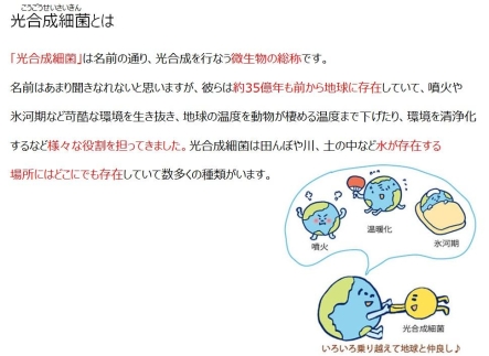 大特価お得 光合成細菌RAP99の力で健康を守る 三寿：兵庫県神戸市