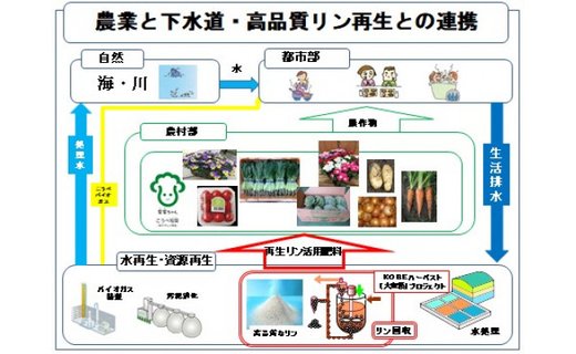 伊川谷町産の季節の花壇苗「生産者おまかせセット」