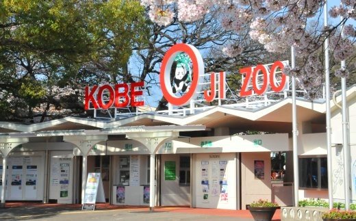 王子動物園グッズ＆入園券（５枚）