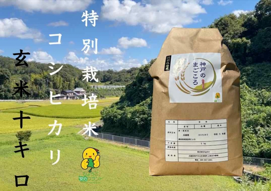 令和6年度産　新米　特別栽培米　神戸のまごころ　コシヒカリ 玄米　10kg（5kg×2袋）