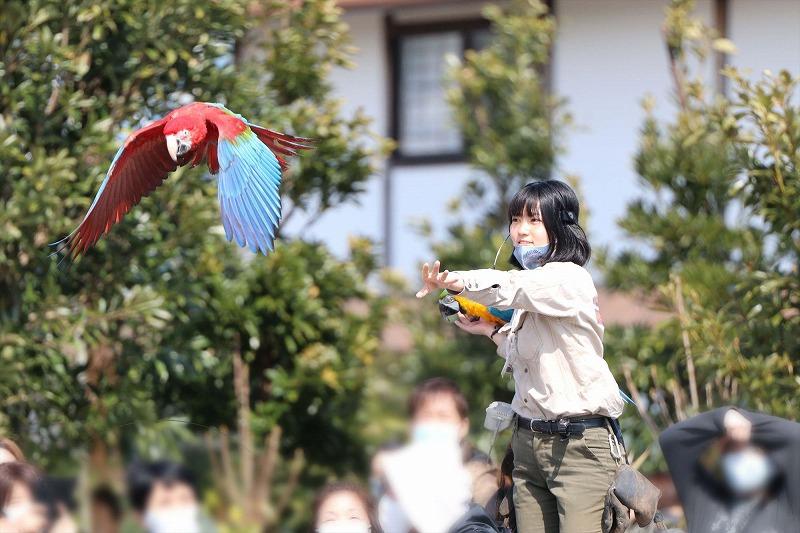 神戸どうぶつ王国入場券付「神戸ポートピアホテル」宿泊プラン（2名1室