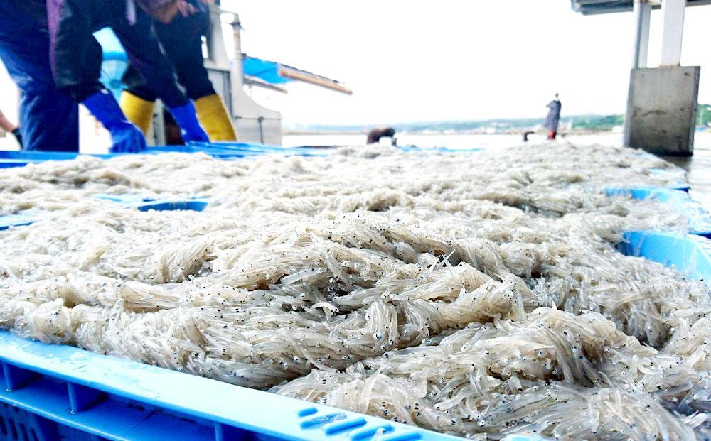 【ふるさと納税】いか昆布 梅ちりめん 食べ比べ セット 2袋 澤田食品 ふりかけ ごはんのお供 ご飯のお供 ふりかけグランプリ 金賞 送料無料