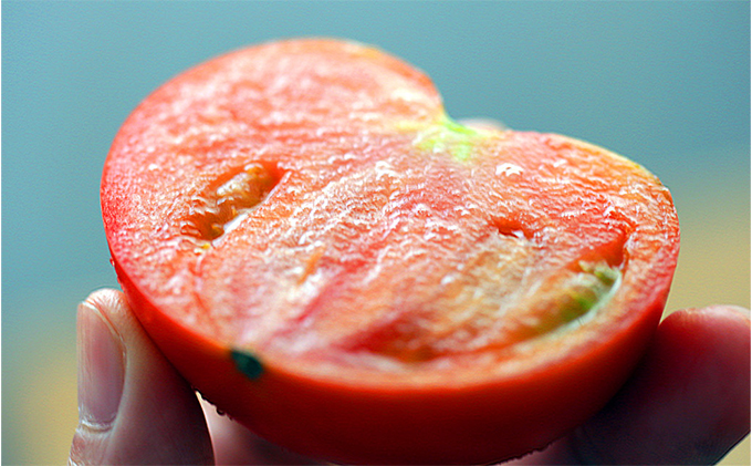 【トマトGP受賞】栽培期間中農薬化学肥料不使用《冷凍》安心トマト4kg