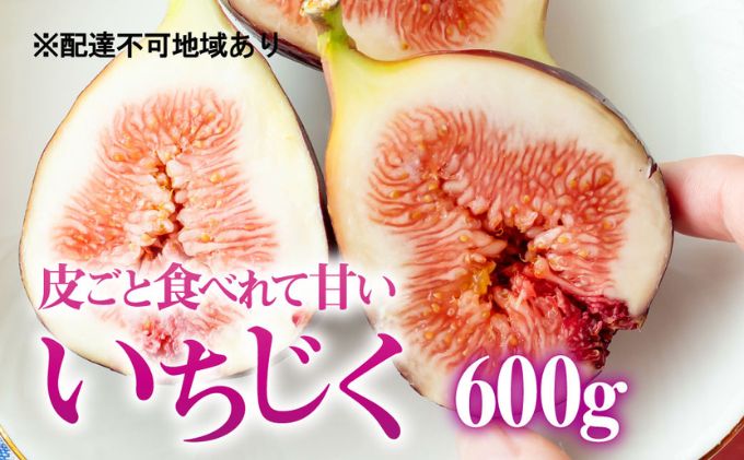 【皮ごと食べれて甘い】あかね農園「いちじく」約600g