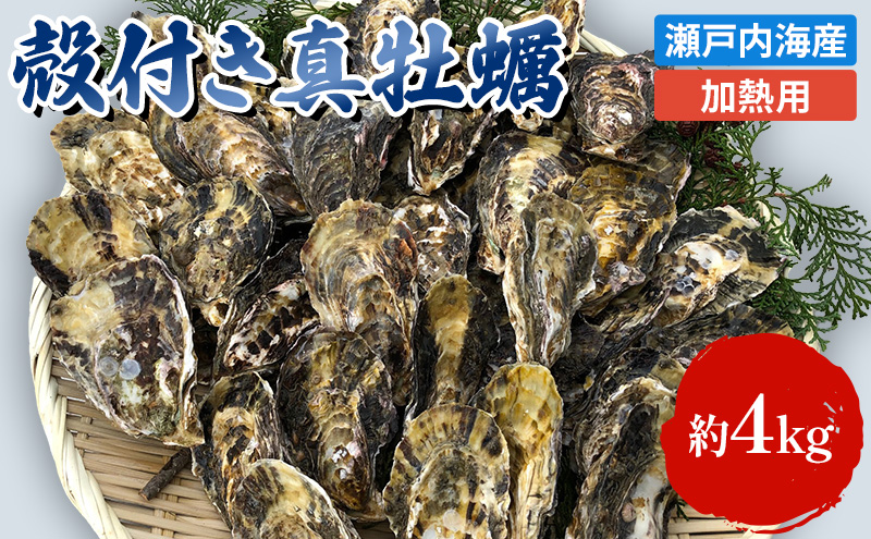 牡蠣 殻付き 加熱用 約4kg 旬にお届け！ 姫路産 1年牡蠣 真牡蠣 かき 生牡蠣 生カキ 生かき 魚介類 魚介 海鮮 海の幸 兵庫県 2024年1月中旬以降順次発送予定