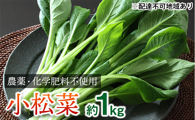 栽培期間中農薬化学肥料不使用の小松菜詰め合わせ 約1kg（100g×10袋