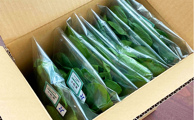 栽培期間中農薬化学肥料不使用の小松菜詰め合わせ　約1kg（100g×10袋）
