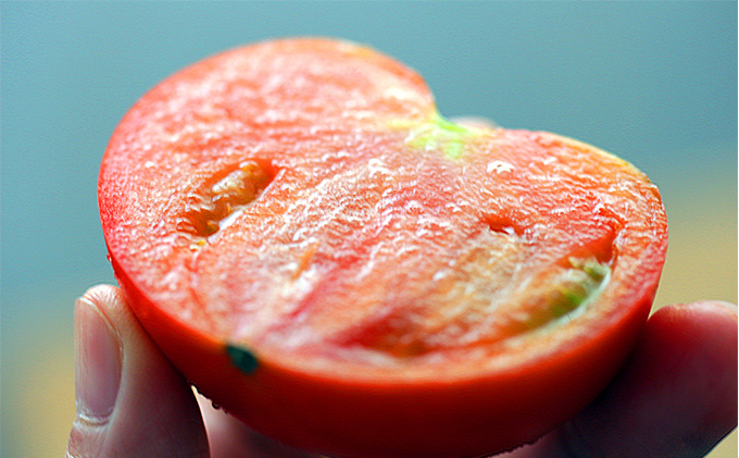 【トマトGP受賞】栽培期間中農薬化学肥料不使用　訳あり　調理用冷凍トマト4kg