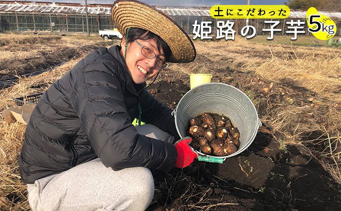 【2024年11月下旬〜2025年4月上旬出荷予定】特選 里芋　粘り気たっぷり姫路市船津町八幡の黒土で育った 小芋 5kg/芋 朝採れ 