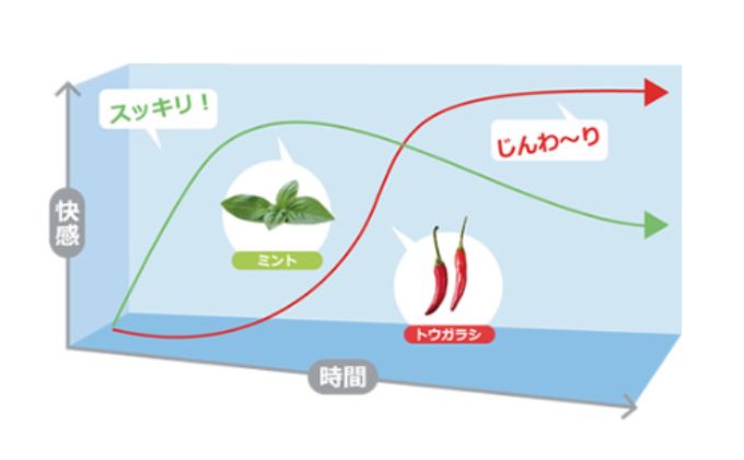 耳が初めて体験する気持ち良さ　プロの耳そうじローション　耳洗潔クール20ml (約50回分) ×2本 耳そうじ　耳かき　爽快　すっきり　気持ちいい　業務用　理容