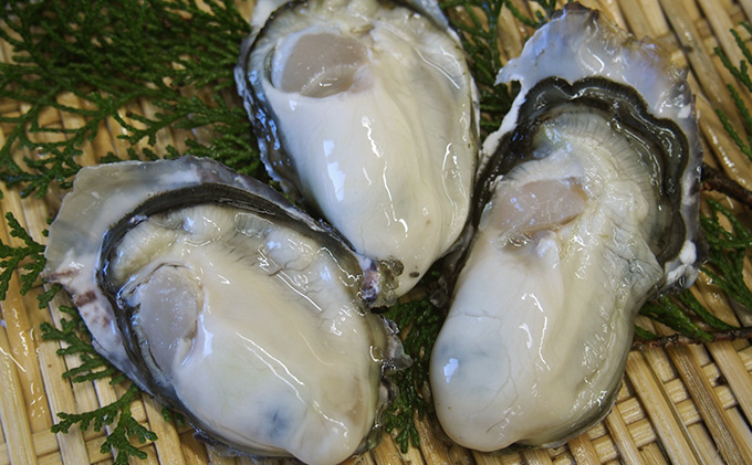 旬にお届け！姫路産　殻付き真牡蠣（加熱用）約３kg ／ カキ かき 貝類 兵庫県 特産品