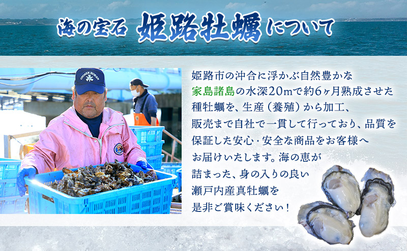 牡蠣 むき身 加熱用 約1.5kg 大粒特選 姫路産 1年牡蠣 剥き 真牡蠣 かき 生牡蠣 生カキ 生かき 剥き身 魚介類 魚介 海鮮 海の幸 兵庫県 2025年1月中旬以降順次発送予定