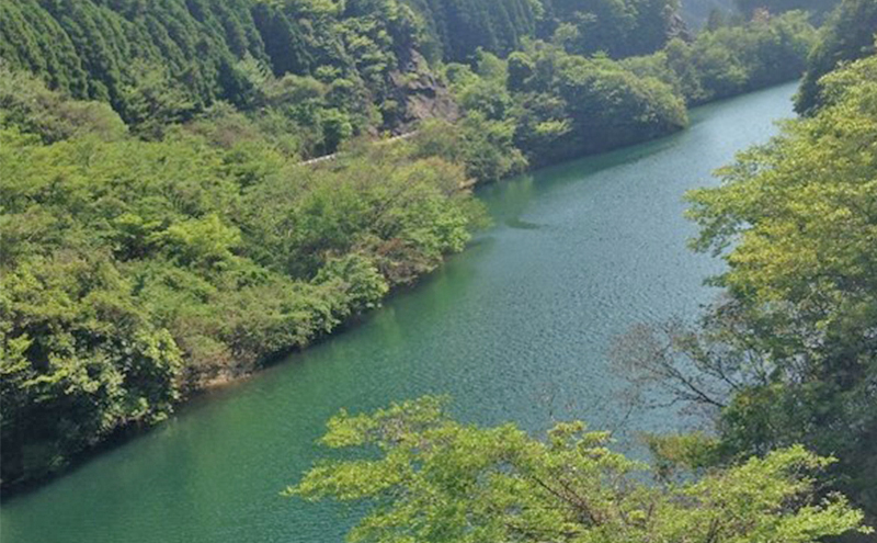 日本で唯一の坑道ラドン浴回数券【坑道浴 癒し リフレッシュ リラックス】