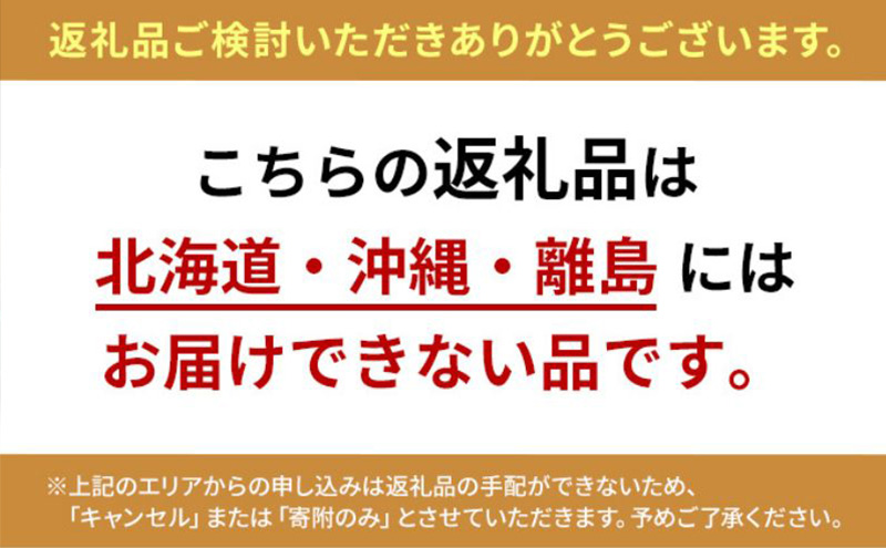 もりゑとまと　詰合せ [ 大玉 トマト とまと 高糖度 産地直送 野菜 ]