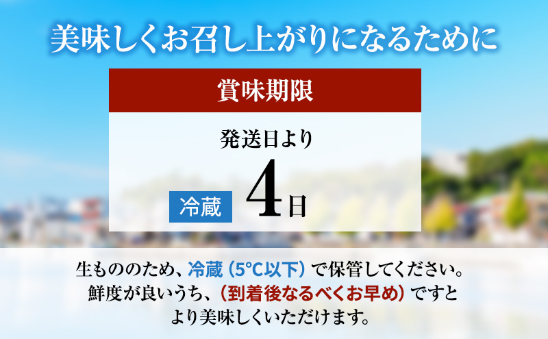 全国牡蠣−1グランプリ グランプリ受賞 3倍体カキ キューティーカキー 20個 牡蠣 かき カキ 生食 殻付き 冷蔵 姫路市 兵庫