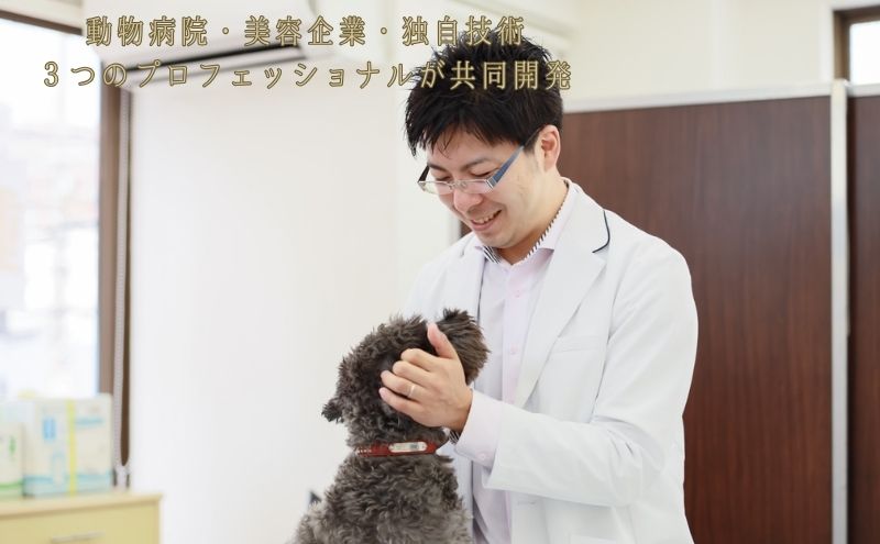 【定期便】新しい犬用日常ケアシャンプー「慶和シャンプー」500ml 3か月ごと年間定期お届け便（計4回）動物病院皮膚科チームが開発・設計、フワフワの毛並みを実現する美容メーカーの独自技術を採用、厳選された国産原料を使用