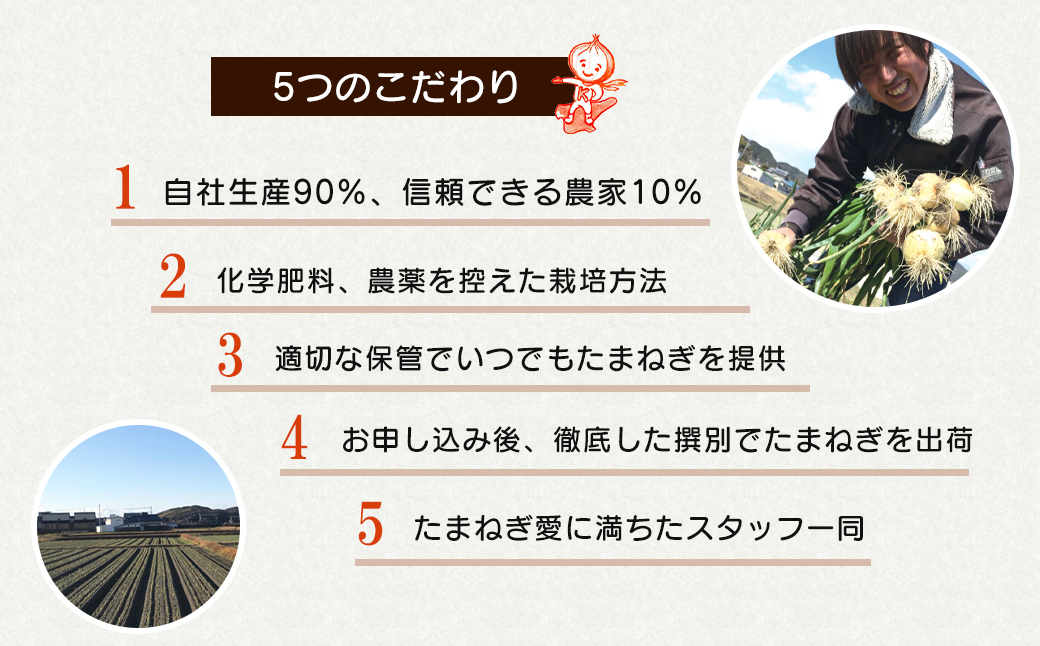 淡路島たまねぎ 大きな2Lサイズ10kg　　[玉ねぎ 玉葱 タマネギ 玉ねぎ 淡路島産 たまねぎ 玉ねぎ 玉ねぎ 玉ねぎ 玉ねぎ 玉ねぎ]