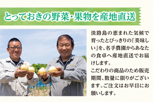 【定期便】名手農園の淡路島特産玉ねぎ10kgの12ヶ月コース