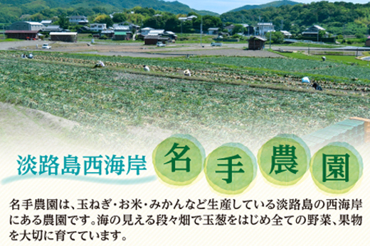 名手農園の淡路島特産玉ねぎ10kg　　[淡路島たまねぎ 玉葱 玉ねぎ たまねぎ 淡路島たまねぎ 玉葱 玉ねぎ たまねぎ]