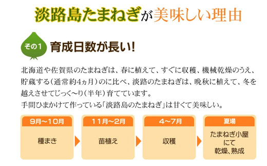 今井ファーム淡路島産フライドオニオン100g×5袋