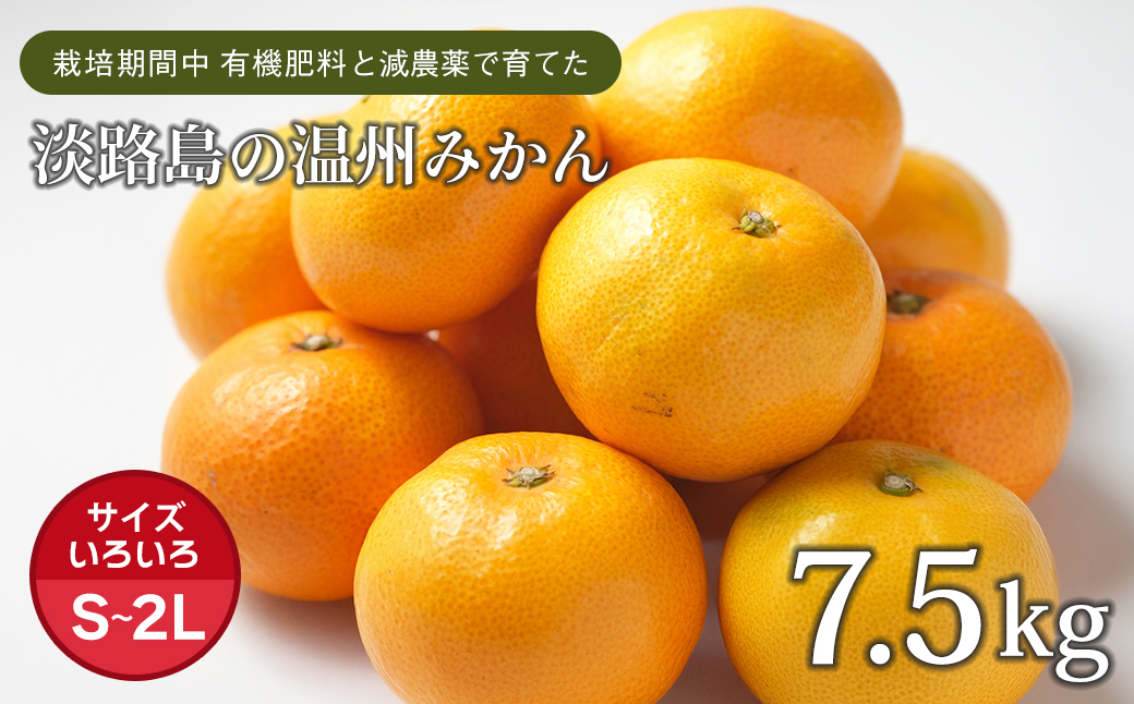 片山農園の淡路島みかん(温州みかん)7.5kg【サイズいろいろS～2Lサイズ】