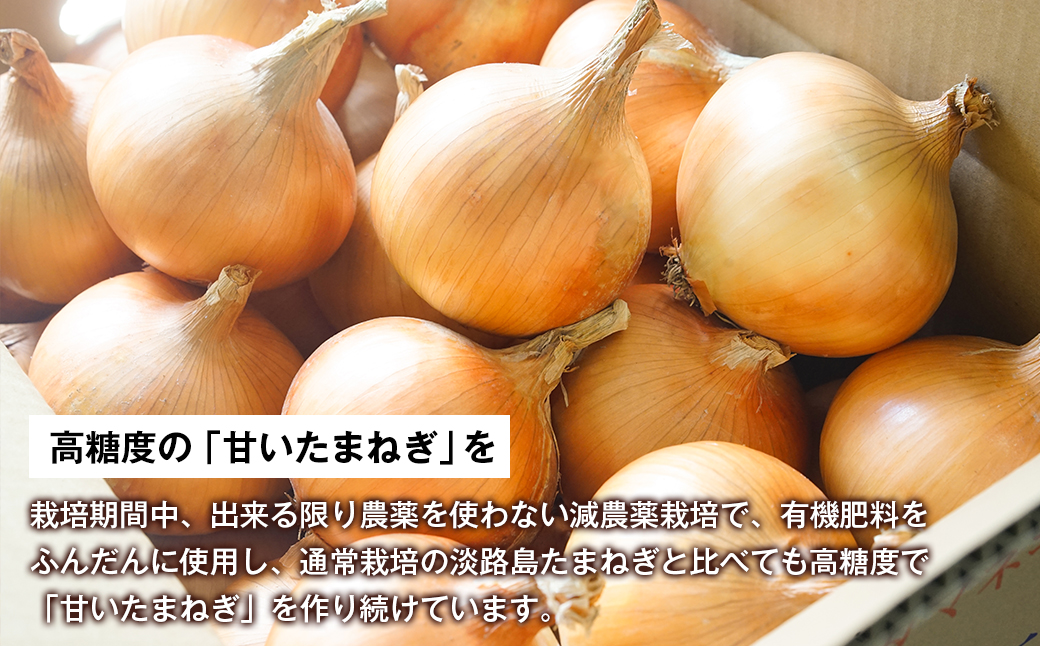 淡路島たまねぎ（10キロ）　　[玉ねぎ たまねぎ 淡路島 玉ねぎ たまねぎ 淡路島 玉葱 玉ねぎ たまねぎ 玉ねぎ たまねぎ 玉ねぎ たまねぎ 玉ねぎ たまねぎ 玉ねぎ たまねぎ 玉ねぎ たまねぎ 玉ねぎ たまねぎ]